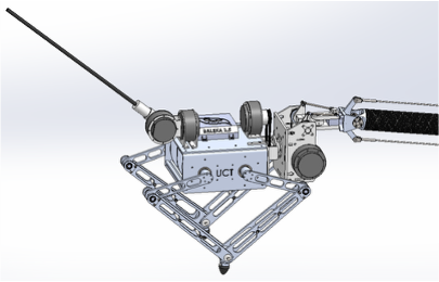 Spaleka, a quadruped built on Baleka's legs with an articulated spine